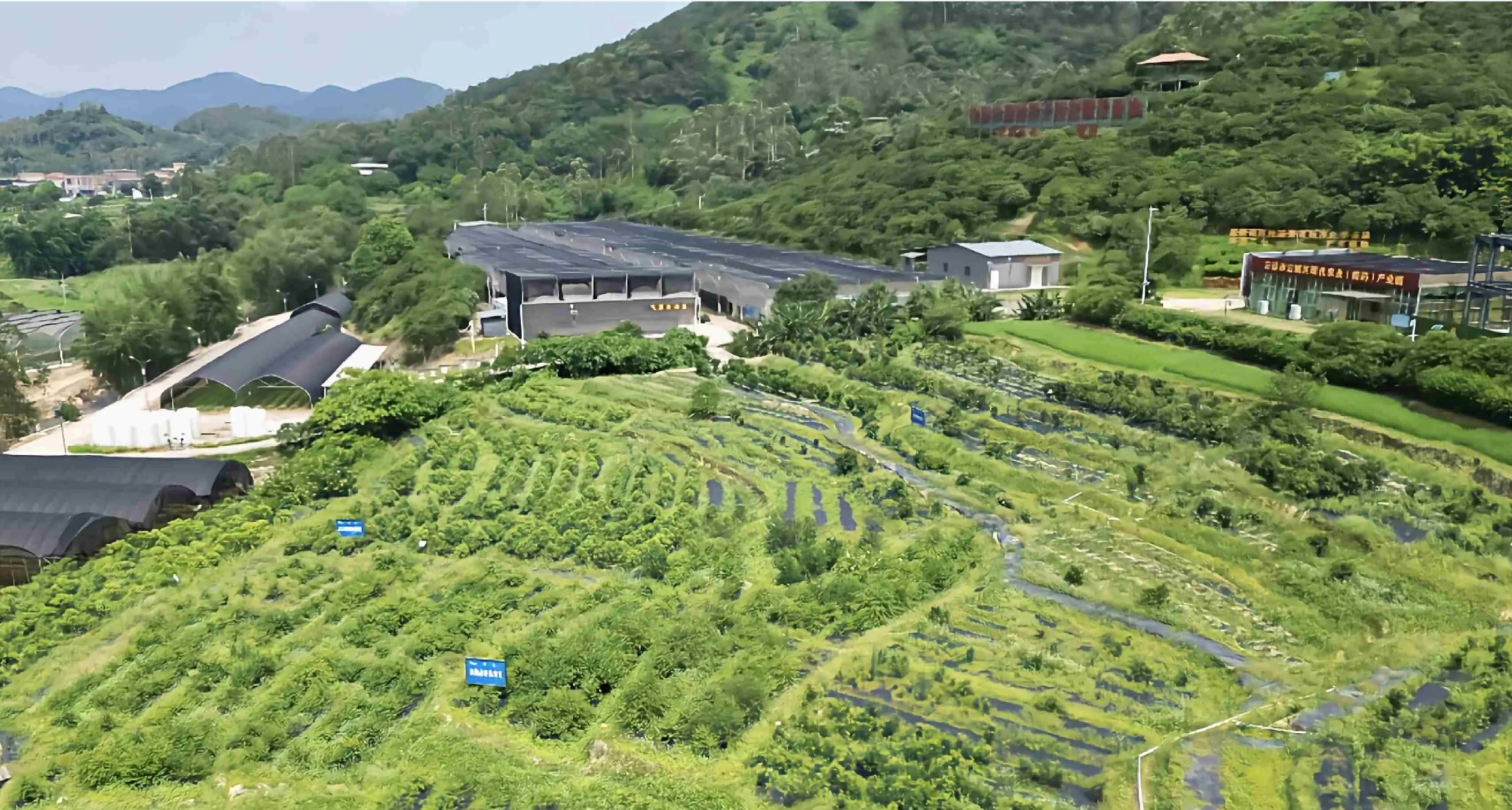 云浮市政协调研组赴各县（市、区）开展专题调研