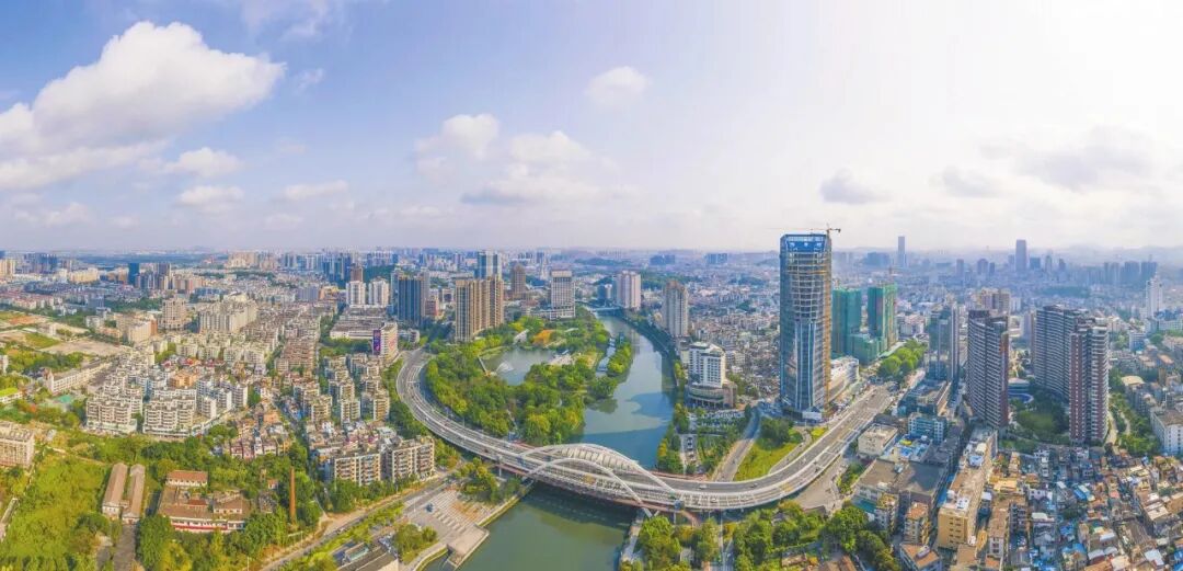 履职为民显担当，市政协开展“助力百千万，委员在行动”系列活动