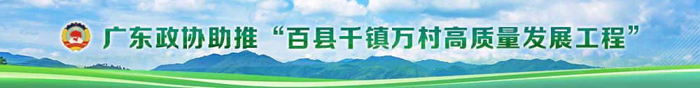 广东政协助推“百县千镇万村高质量发展工程”